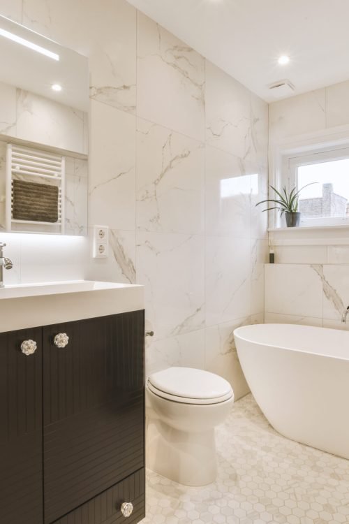 Interior design of beautiful and elegant bathroom